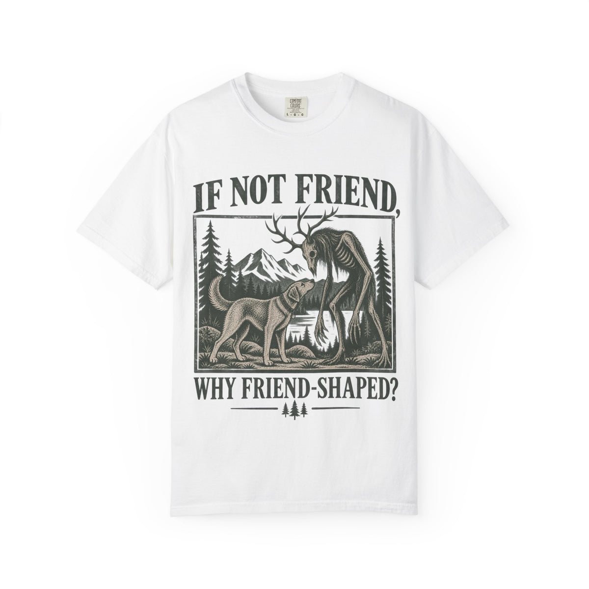 If Not Friend, Why Friend Shaped?